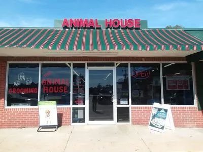 Spacious pet store with diverse animal displays featuring colorful fish tanks, reptile enclosures, and a dedicated...