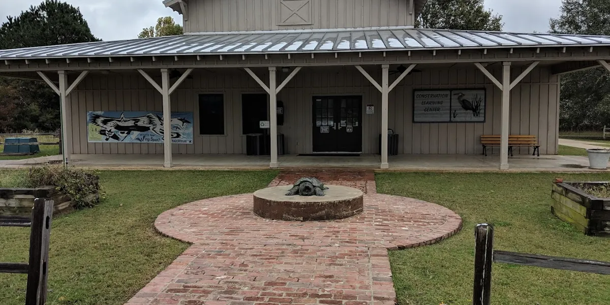 Wooden boardwalk extending over calm bayou waters surrounded by cypress trees, with observation deck overlooking Black...