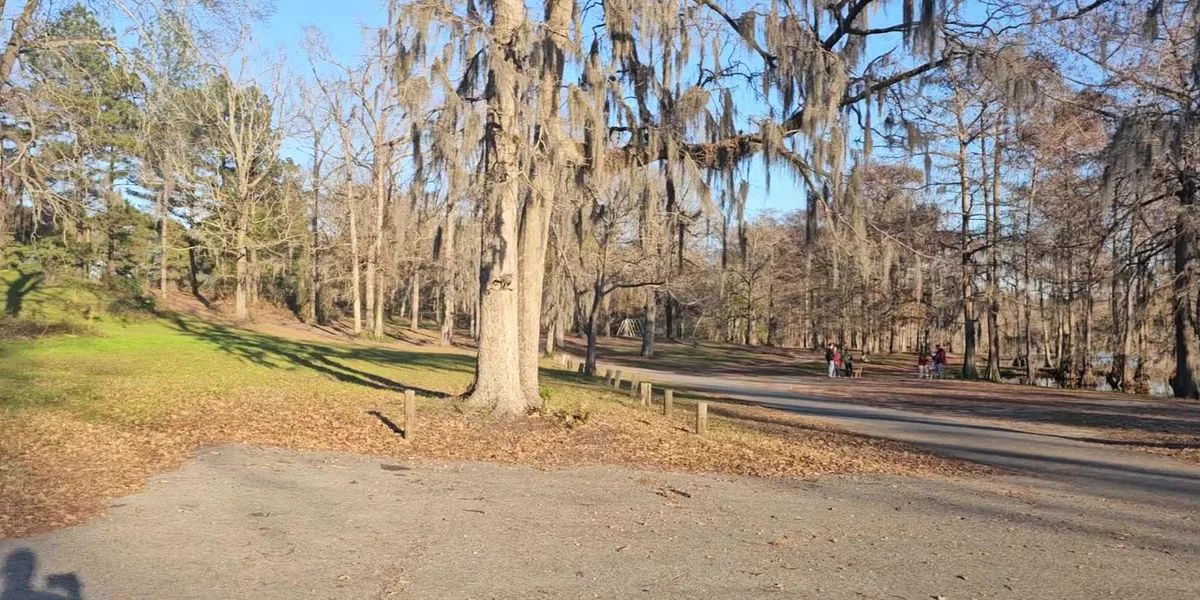 Tranquil lake view with weathered wooden jetty extending into water, surrounded by trees and natural wetland vegetation.