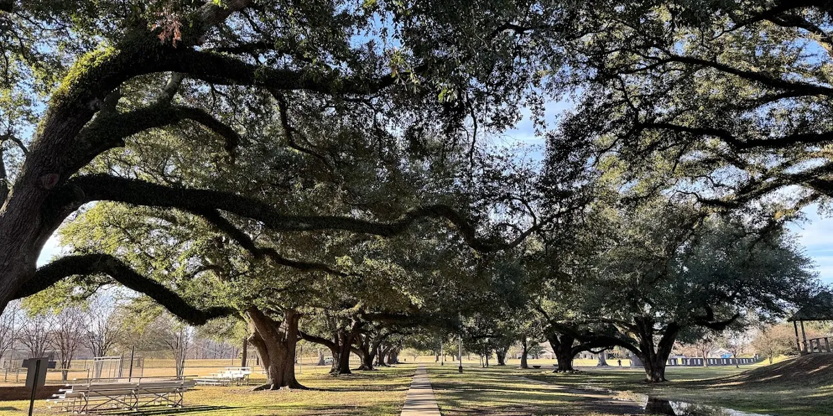 Spacious park with playground equipment, tennis courts, and picnic tables shaded by large oak trees, with families...