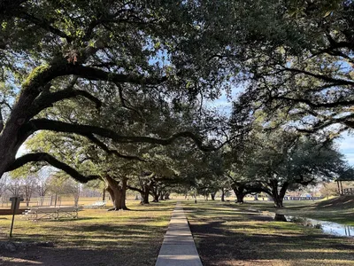 Spacious park with playground equipment, tennis courts, and picnic tables shaded by large oak trees, with families...