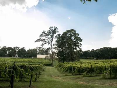 Rolling vineyard with rustic cottages nestled among grapevines, outdoor seating areas, and panoramic countryside views at...