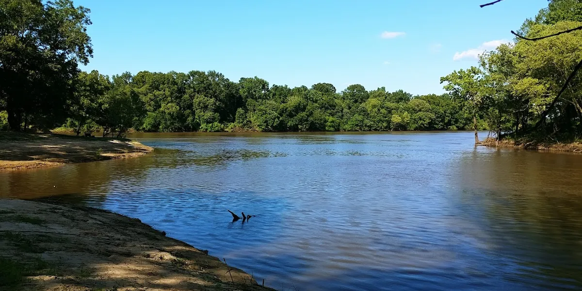Rustic waterfront camping area with picnic tables and boat ramp surrounded by natural bayou landscape under tree canopy.