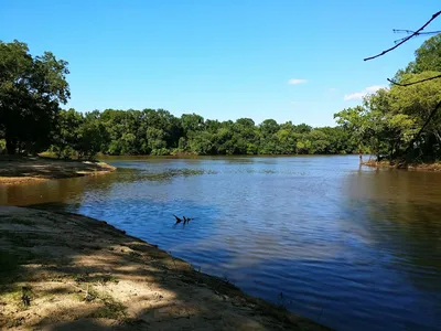 Rustic waterfront camping area with picnic tables and boat ramp surrounded by natural bayou landscape under tree canopy.