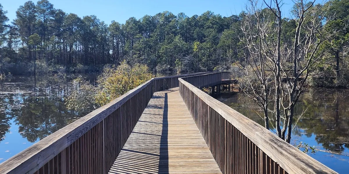 Serene wooded walking trails with bridges and gazebos overlooking a pond where friendly turtles gather at Restoration Park.