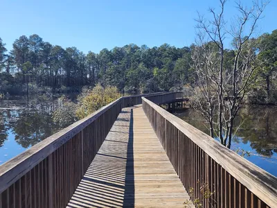 Serene wooded walking trails with bridges and gazebos overlooking a pond where friendly turtles gather at Restoration Park.