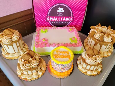 Cozy cupcake shop with glass display counter showcasing decorated cupcakes, small seating area, and signature pink packaging.