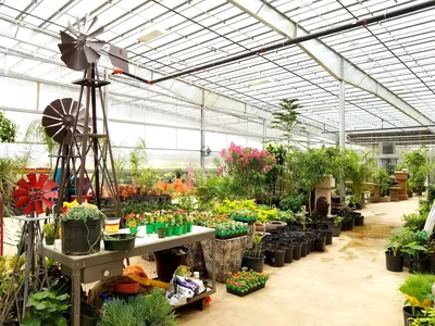 Spacious garden center with diverse plant displays, outdoor furniture sets, and gardening accessories arranged across...