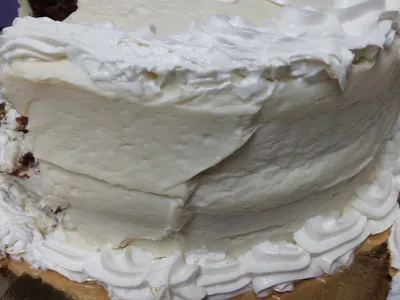 Cozy bakery counter displaying Italian Creme Cakes, wedding cake samples, and homestyle prepared dishes in a bright,...