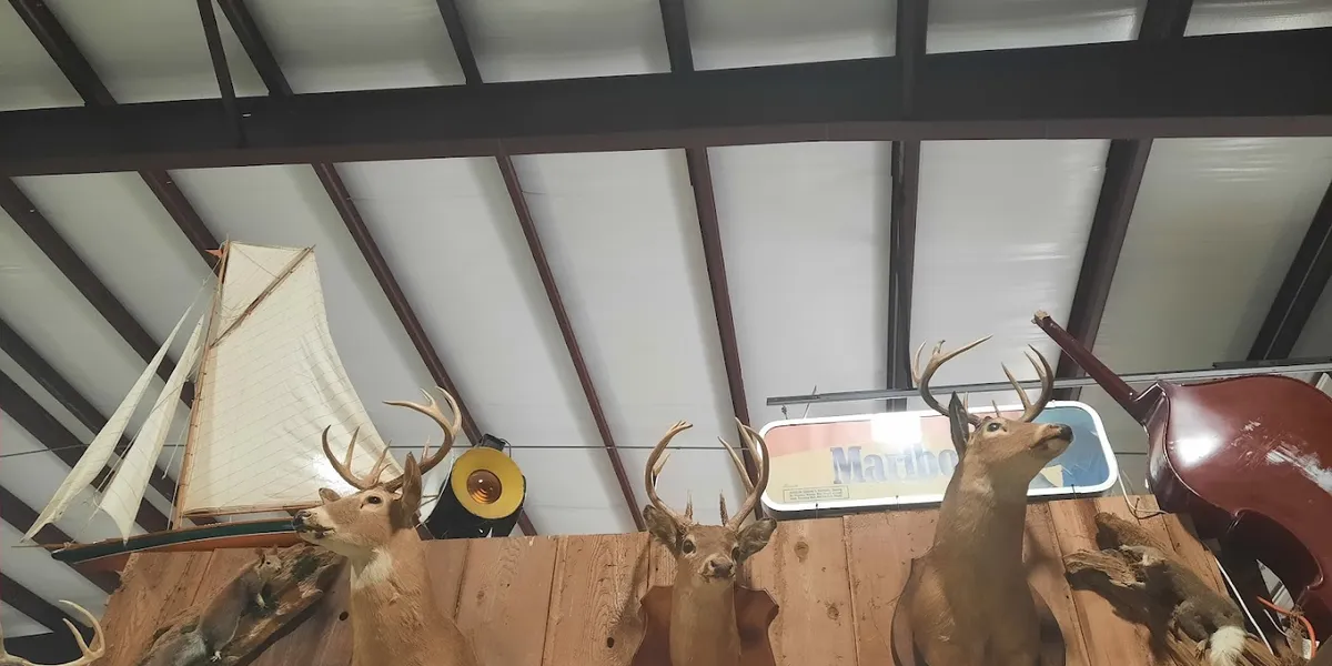 Spacious, well-organized antique store with diverse vintage collections and nostalgic items displayed in clean, bright...