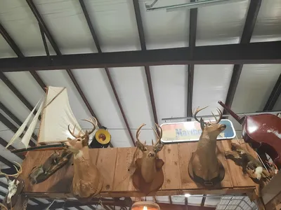 Spacious, well-organized antique store with diverse vintage collections and nostalgic items displayed in clean, bright...