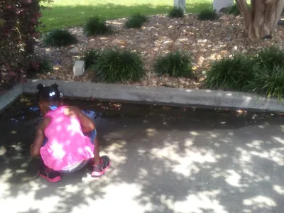 Spacious indoor recreation complex with well-maintained basketball courts, clean facilities, and organized activity areas...