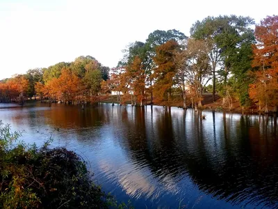 Government office building on Centurylink Drive housing the Louisiana Wildlife & Fisheries Department with official...