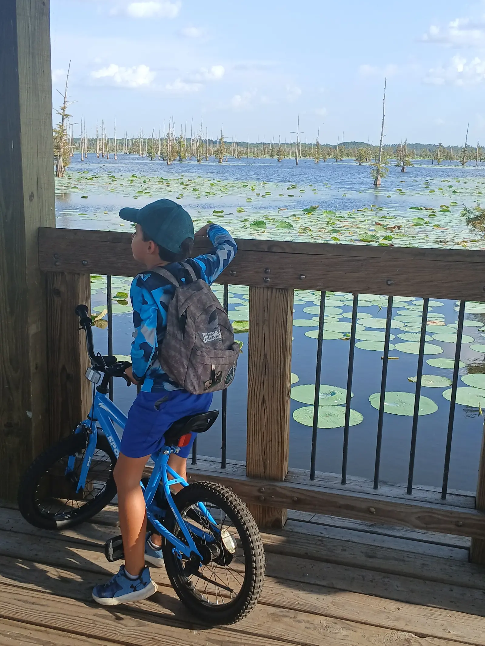 A child on a bicycle looks out over the bayou from a wooden boardwalk.