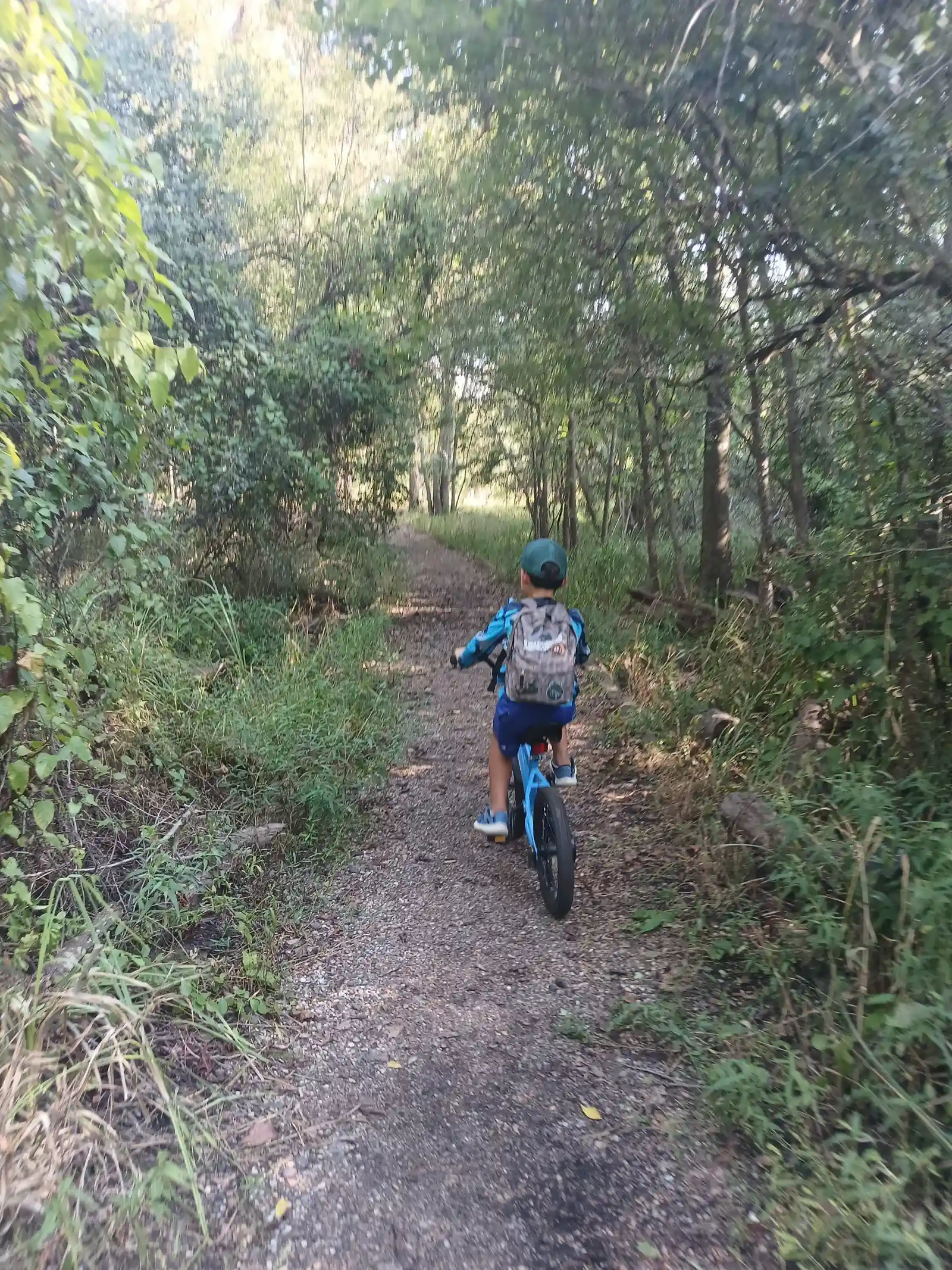 A child on a blue bicycle riding on a dirt path through a wooded area.