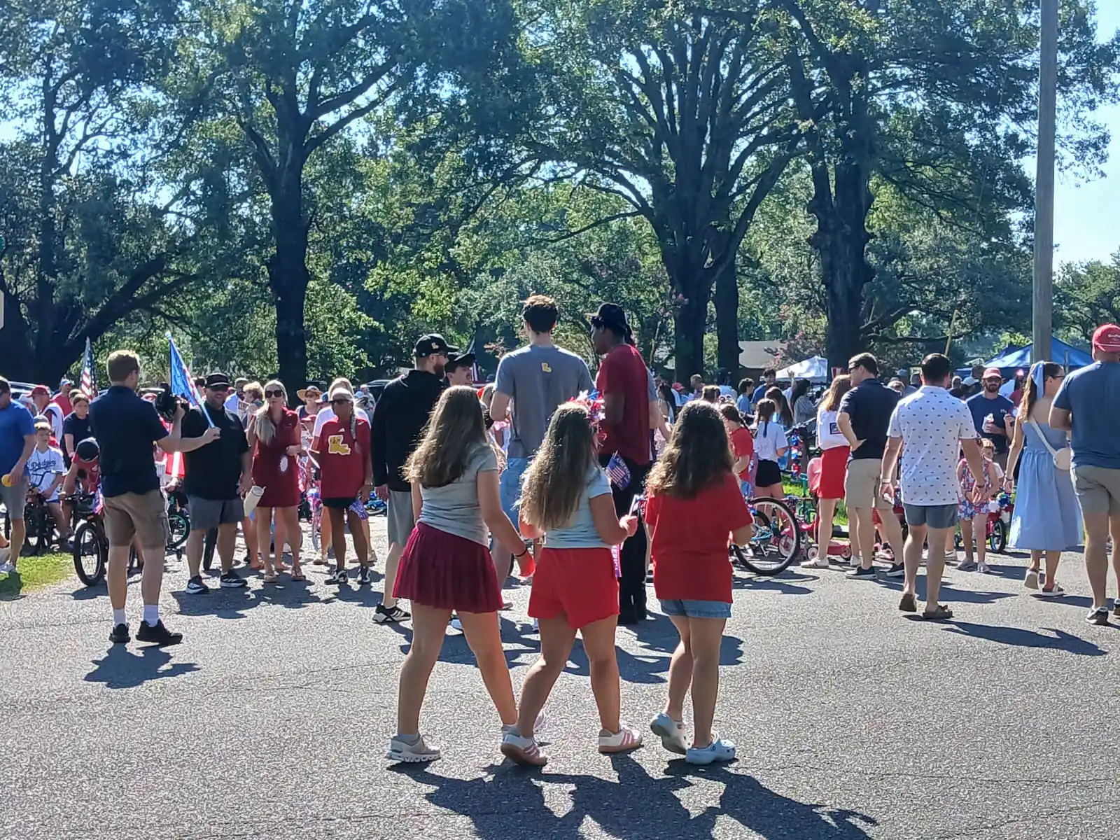 Crowd gathered at Triangle Park in Monroe for the Children's Parade, seen from behind, holding American flags on a sunny morning