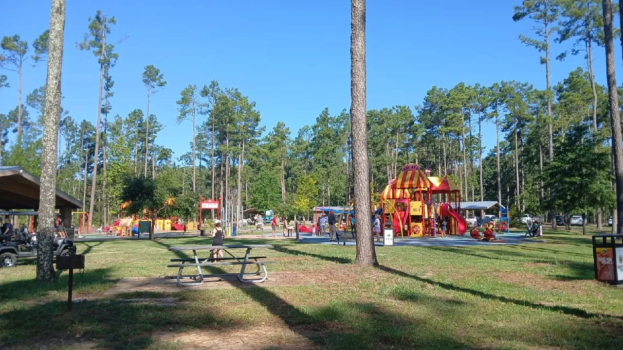 The main playground at Kiroli Park with colorful play structures and picnic tables under tall pines.
