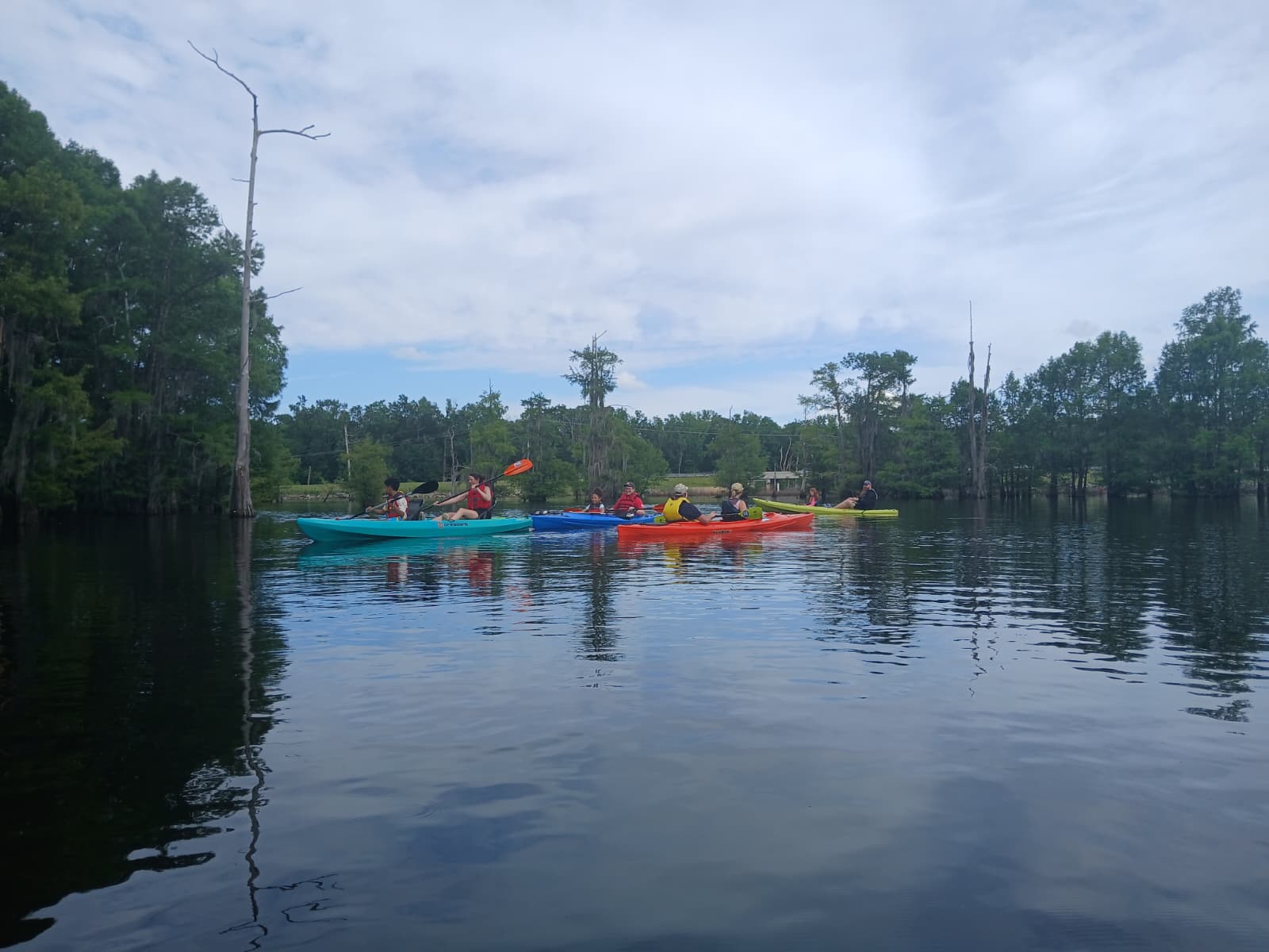 Panoramic view from the wooden dock at Cheniere Lake, cypress trees reflected in calm water, Ouachita Parish Louisiana